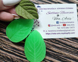 Mėtos lapelis! Silikoninis moldas / vaineris