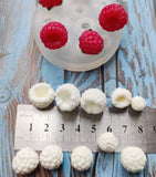 Naujas. Aviečių uogų moldas/vaineris/forma. ~10 vnt.  Silikoninis moldas / formelė