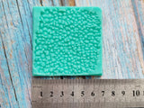 Tekstūrinis silikoninis moldas